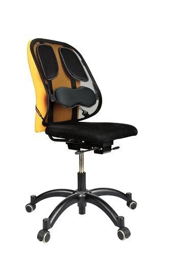 RESPALDO ERGONOMICO MESH PROFESIONAL FELLOWES RF 8029901