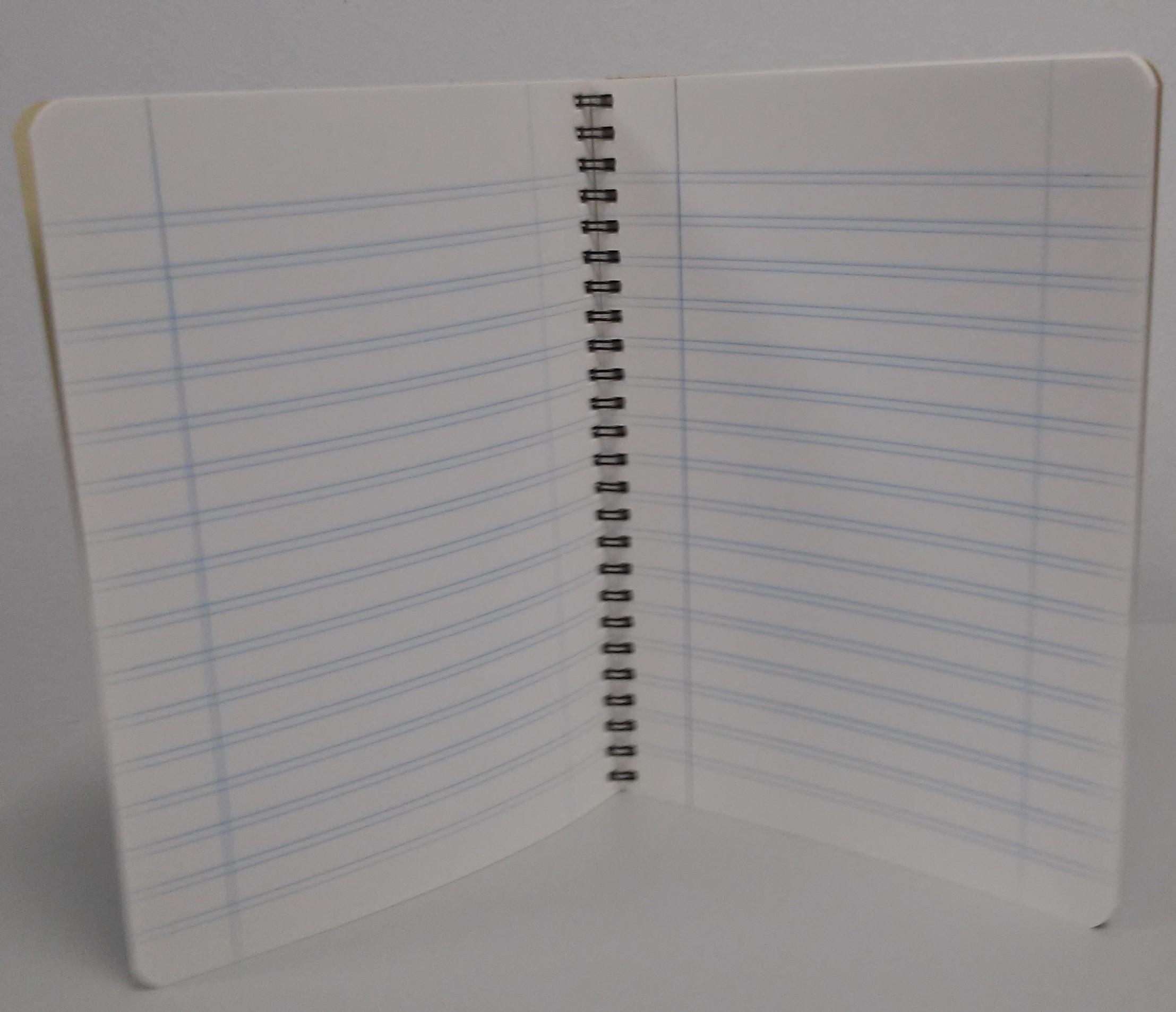 CUADERNO ESPIRAL 1/4 80 H. DOBLE RAYA TAPA CARTONCILLO UNIPAPEL REF 84382