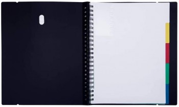 CARPETA IN&OUT 40 FUNDAS EXTRAIBLES GRAFOPLAS