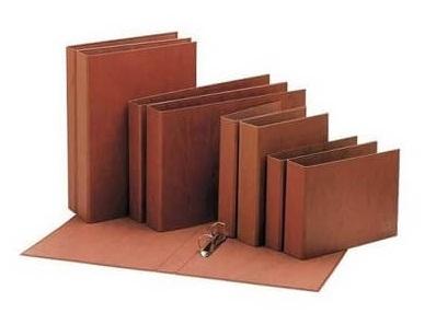 CARPETA DE 2 ANILLAS 25MM MIXTAS UNIPAPEL CUARTO APAISADO CARTON CUERO FORRADO