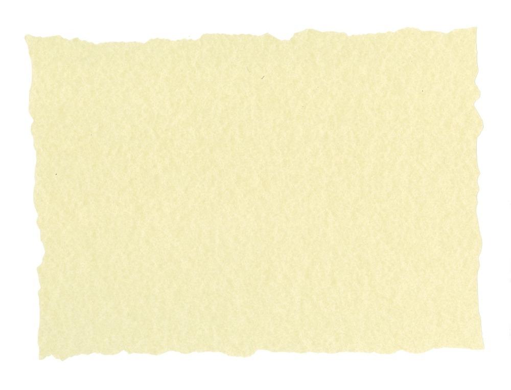 PAPEL PERGAMINO MICHEL DIN A4 TROQUELADO 125 GR PIEL ELEFANTE COLOR HUESO PAQUETE DE 25 HOJAS